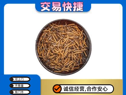 牡丹江高价回收散虫草